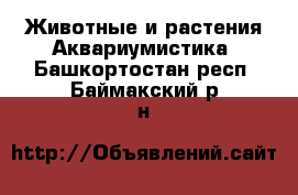 Животные и растения Аквариумистика. Башкортостан респ.,Баймакский р-н